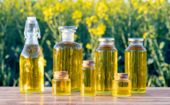 Rapeseed Oil Market