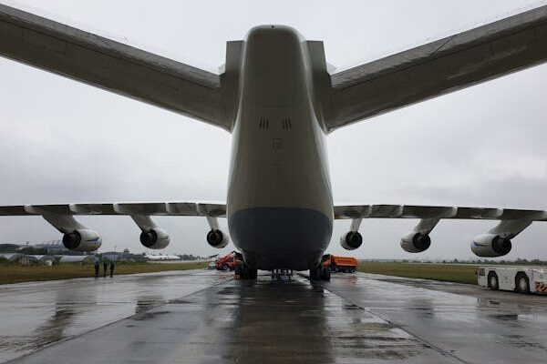 Aircraft Seals