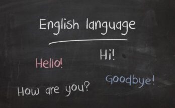 English Language Training (ELT) Market Size, Trends, Growth And Industry 2033