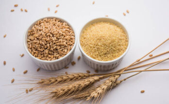 Rice Bran Derivatives Market