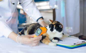 Veterinary Laboratory Testing Services Global Market