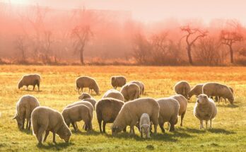 AI In Livestock Farming Market