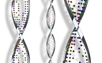 DNA Microarray Market Size