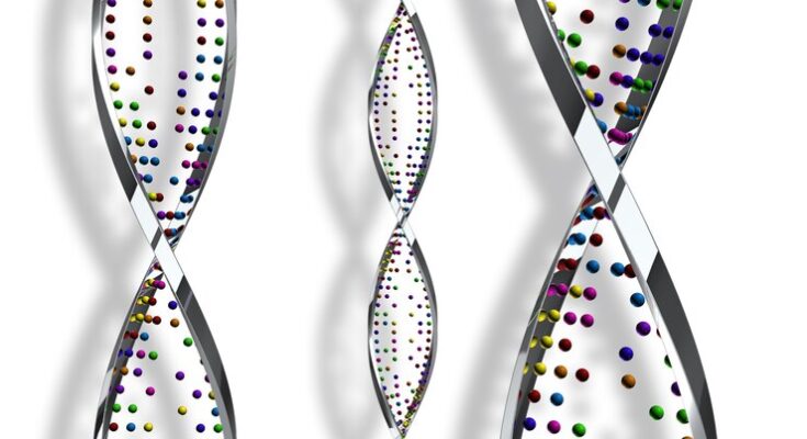 DNA Microarray Market Size