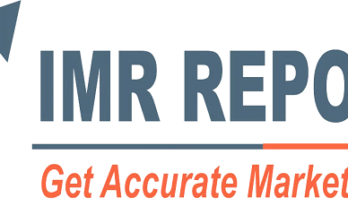 The report describes the competitive landscape, identifies key competitors and their market positions, and provides an in-depth overview