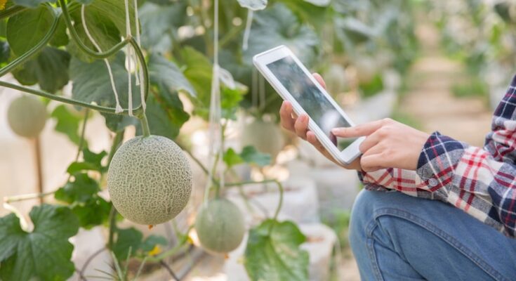 Agriculture Sensor Market Size