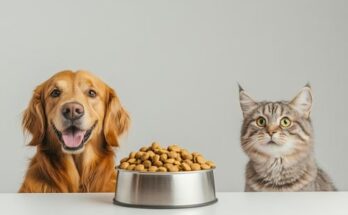 Animal And Pet Food Market Report 2024 - Animal And Pet Food Market Size And Share Analysis