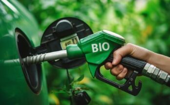 Biofuels Market Size, Growth Opportunities, Industry Forecast To 2033