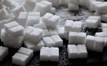 Specialty Sugars Market Report 2024 - Specialty Sugars Industry Size And Overview