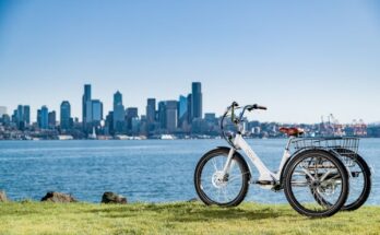 Electric Cargo Bike