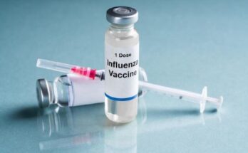 Tetanus Toxoid Vaccine Market Report 2024 - Tetanus Toxoid Vaccine Market Forecast and Trends