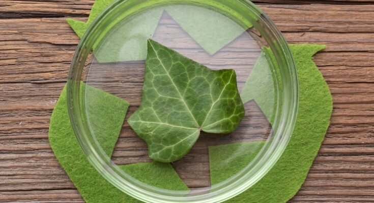 Bio-based Materials Market Outlook