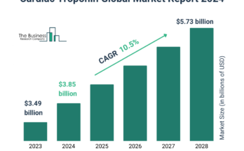 Cardiac Troponin Market