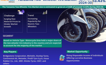 Tanzania Two-Wheeler Tire Market