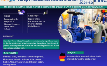 Europe Industrial Valves Market