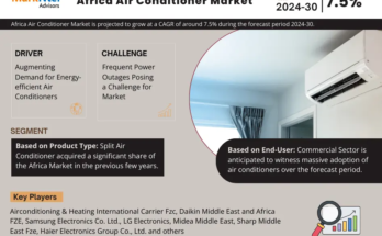 Africa Air Conditioner Market