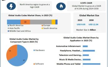 Audio Codec Market