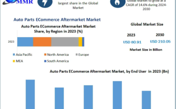 Auto Parts ECommerce Aftermarket Market