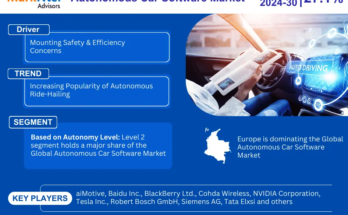 Autonomous Car Software