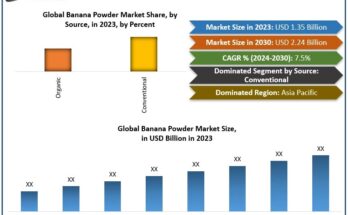 Banana Powder Market