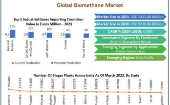 Biomethane Market