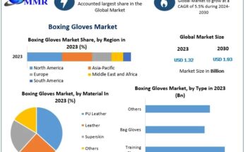 Boxing Gloves Market