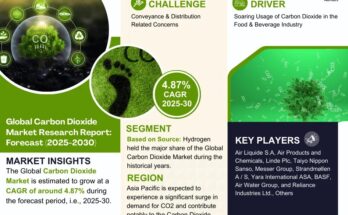 Carbon Dioxide Market