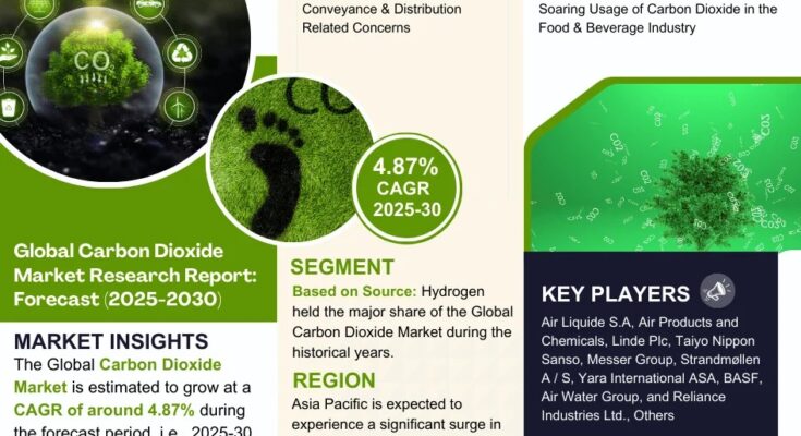 Carbon Dioxide Market