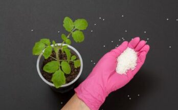 Chemical Fertilizers Market Report 2024 - Chemical Fertilizers Market Size and Trends