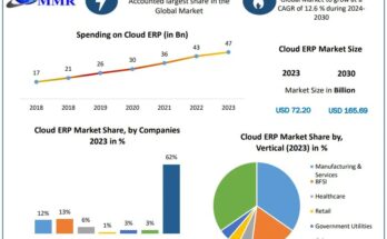 Cloud ERP Market