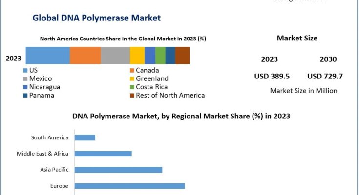 DNA Polymerase Market