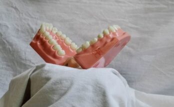 Dental Liners and Bases Market Report 2024 - Dental Liners and Bases Industry Growth And Forecast