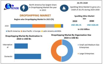 Dropshipping Market