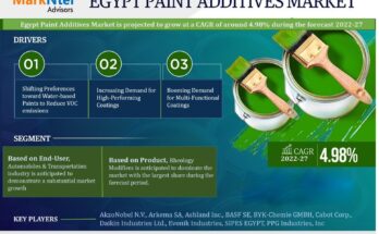 Egypt Paint Additives Market