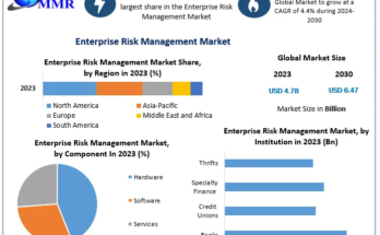 Enterprise Risk Management Market