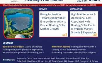 Global Floating Solar Market