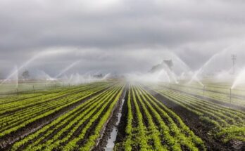 Greenhouse Irrigation Systems Market Report 2024 - Analysis and Growth 2033