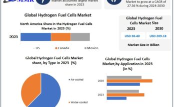 Hydrogen Fuel Cells Market