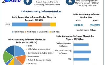 India Accounting Software Market