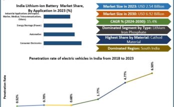 India Lithium-ion Battery Market