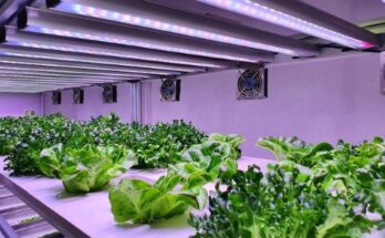 Indoor Farming Market Report 2024 - Indoor Farming Market Share and Size