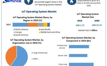 IoT Operating System Market