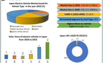 Japan Electric Vehicle Market