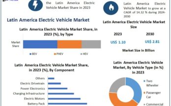 Latin America Electric Vehicle Market