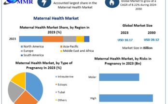 Maternal Health Market