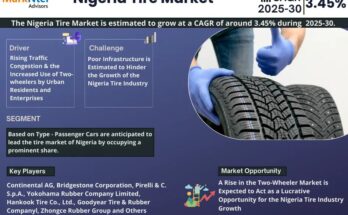 Nigeria Tire Market