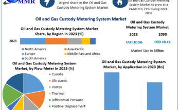 Oil and Gas Custody Metering System Market