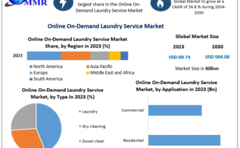 Online On-demand Laundry Service Market