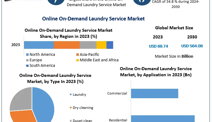 Online On-demand Laundry Service Market