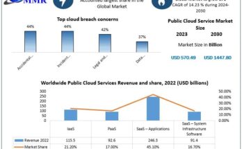 Public Cloud Service Market